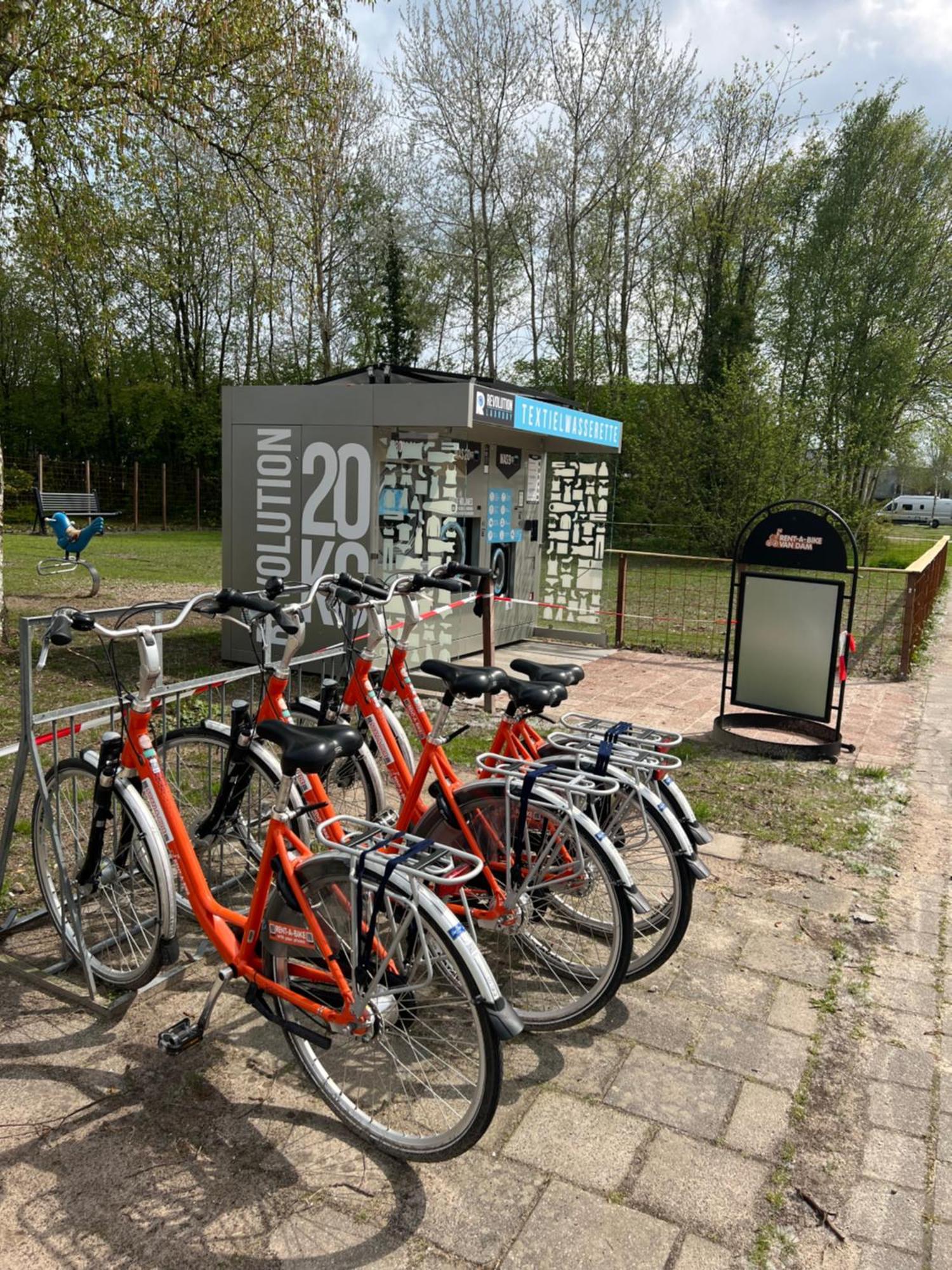Chalet Quattro In Bosrijke Omgeving Anloo Zewnętrze zdjęcie